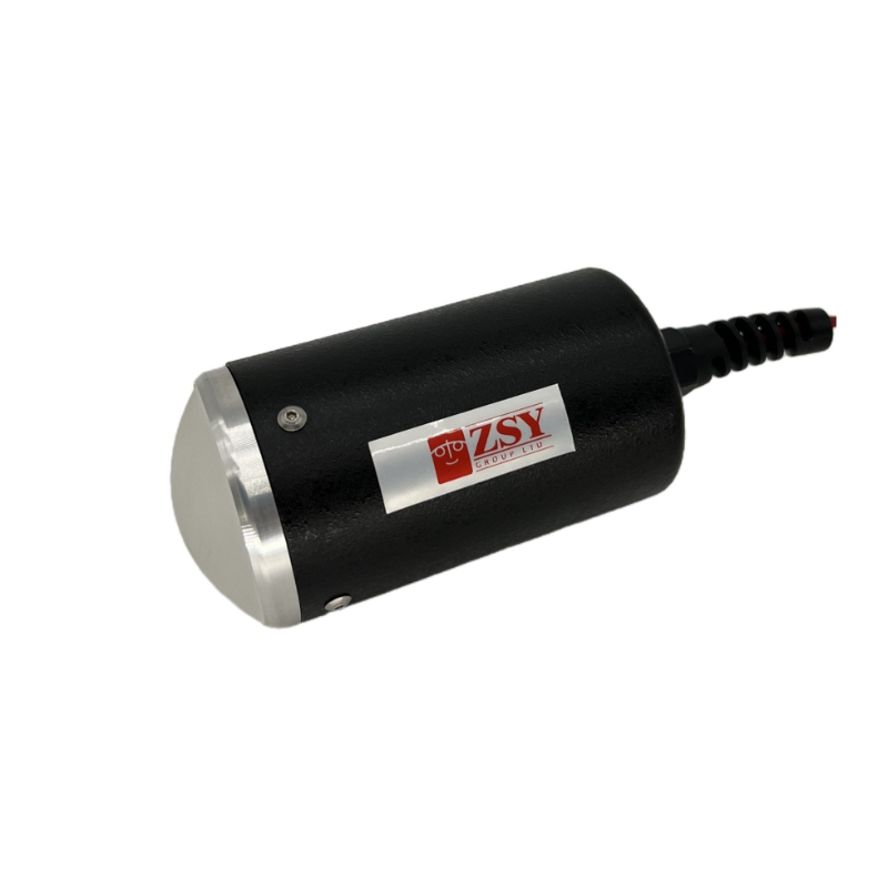 LP-DS100-syf (4).jpg